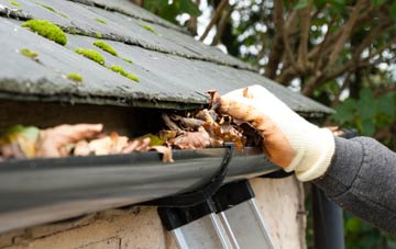 gutter cleaning Burrington