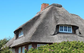thatch roofing Burrington