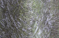 Burrington fibreglass roof work